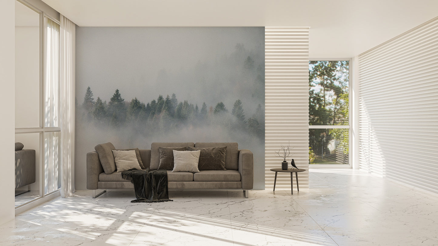 Mysterious foggy pine forest wallpaper mural
