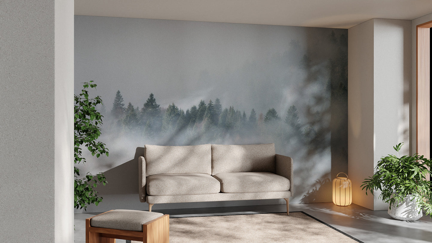 Dark Dense Foggy Pine Forest Wallpaper Murals