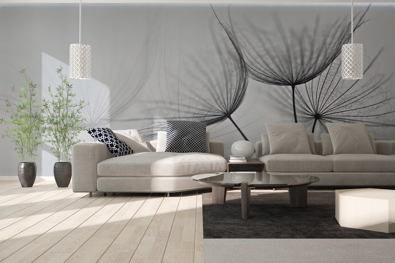 Black and White Dandelion Mural for nature-inspired decor
