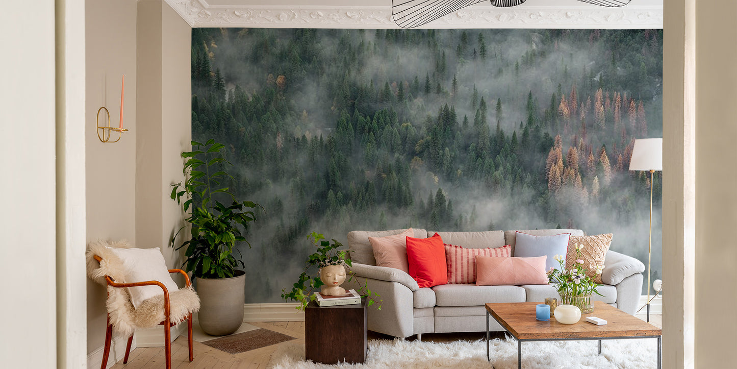 Wallpaper mural with foggy pine forest design
