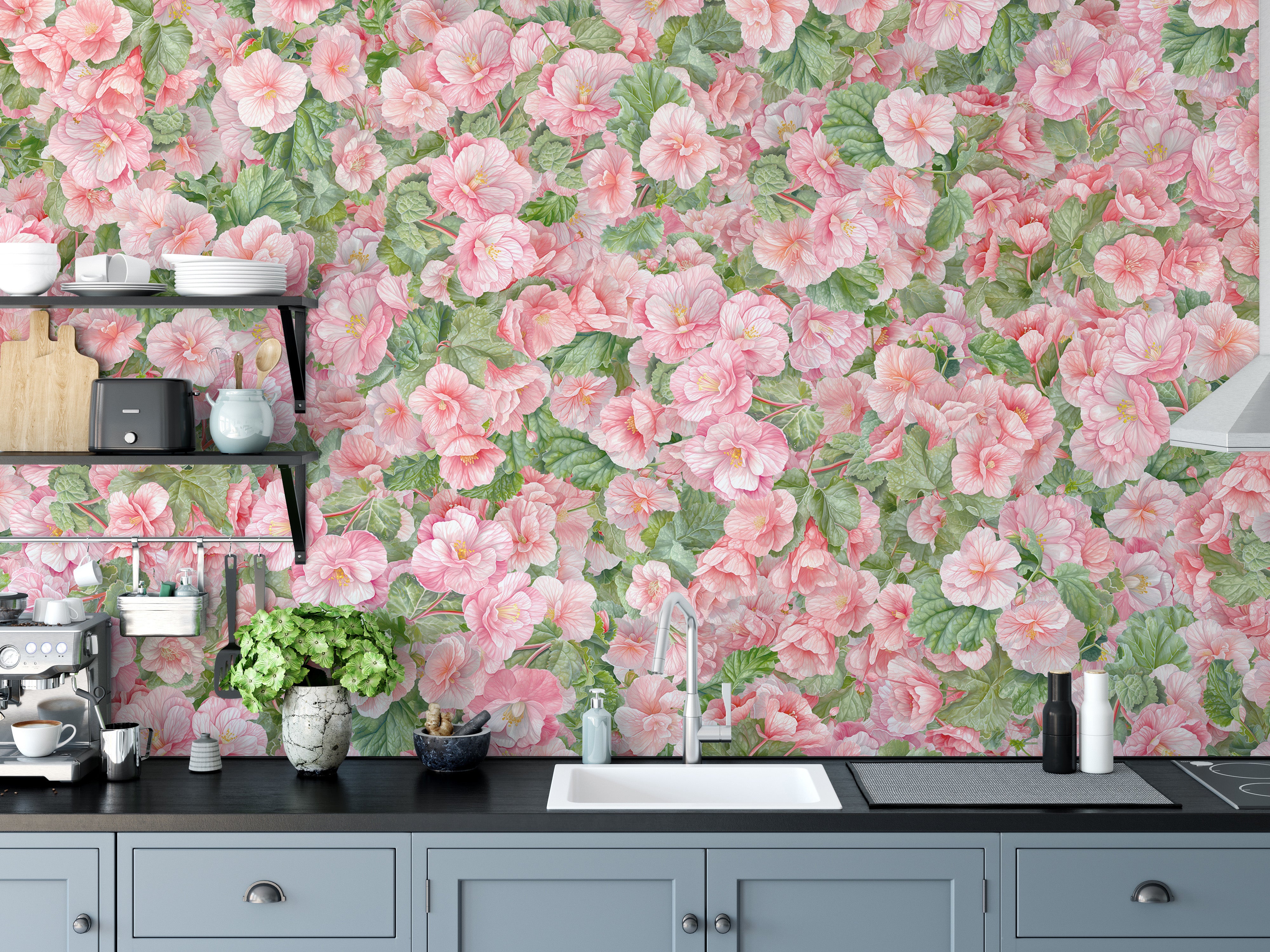 Pink Begonia Flower Wallpaper Murals - Giffywalls