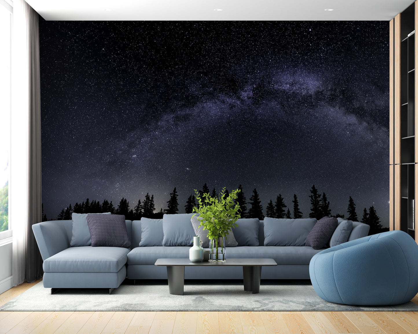 Milky Way Starry Night Wallpaper Mural