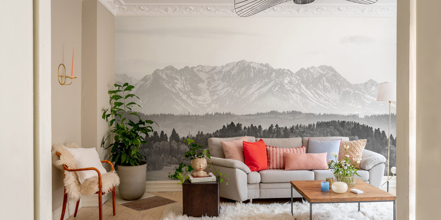 Snow Covered Mountains Winter Wallpaper Wall Murals