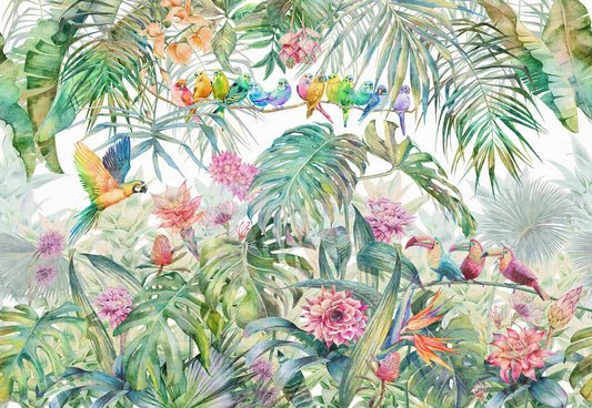 Tropical Forest Birds Wallpaper Mural