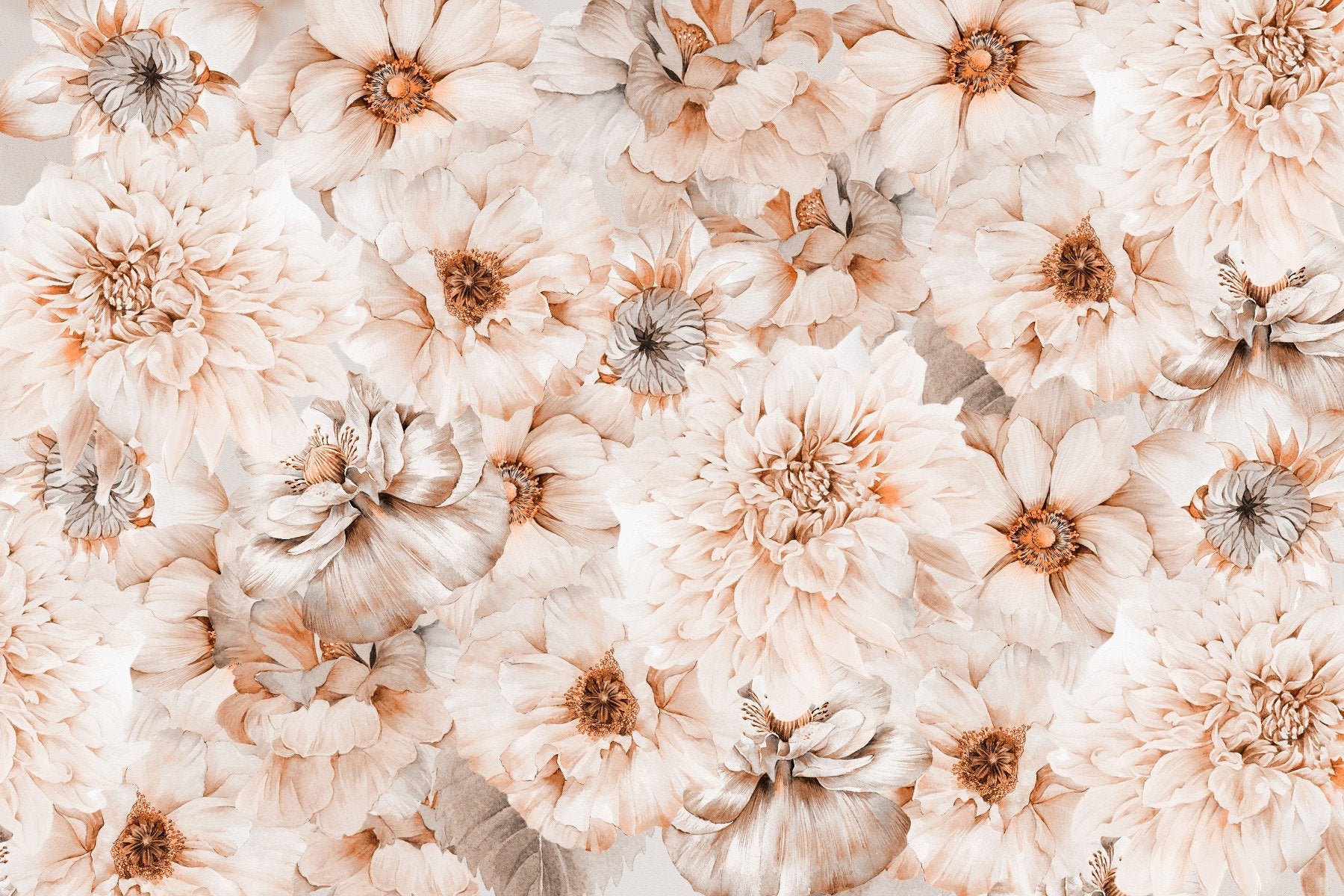 Aesthetic Flower Wallpaper