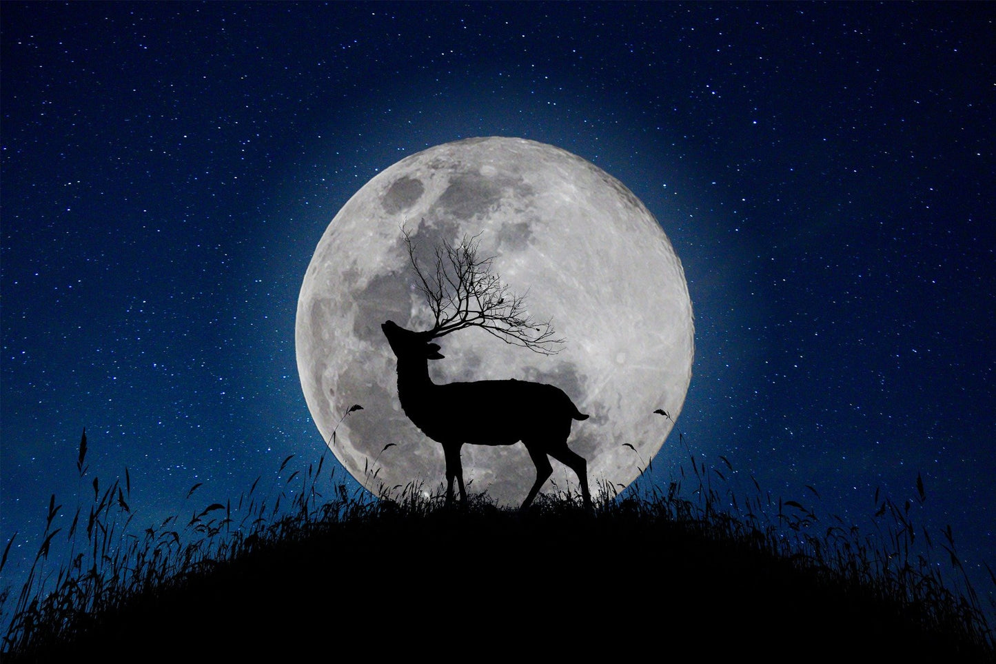 Skyward Stag Lunar Watcher Halloween Night Wallpaper Mural