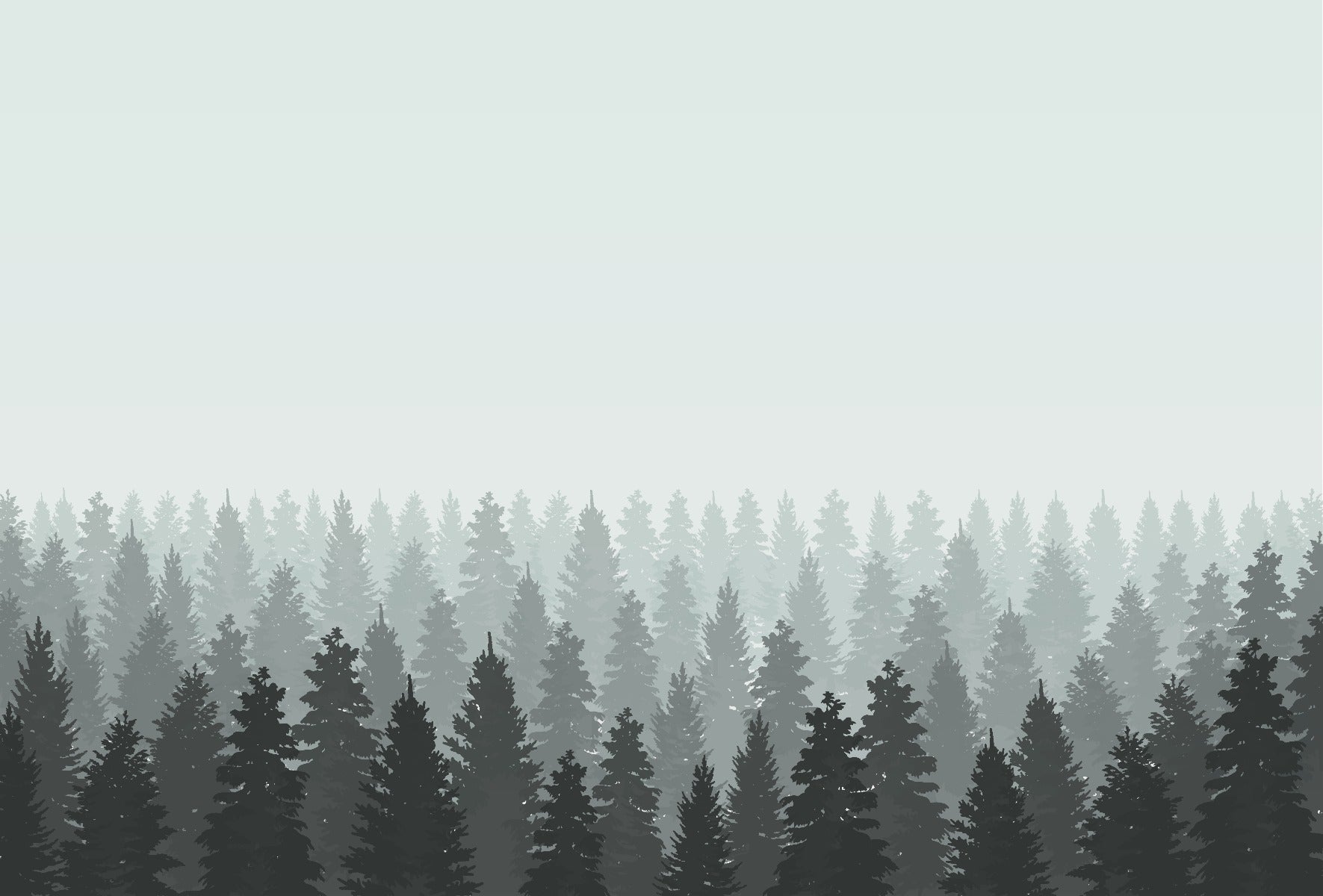 Dark Foggy Forest Tree Wallpaper