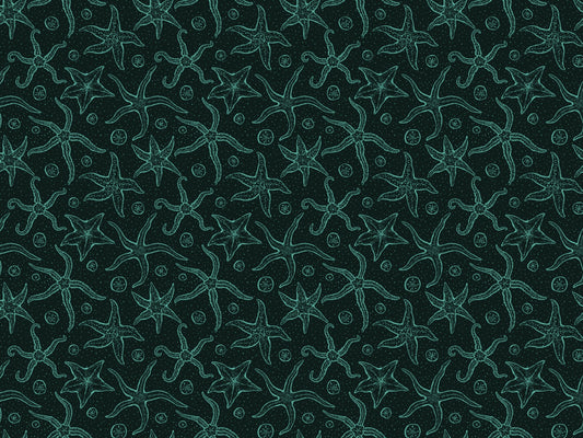 Dark Blue Echinoderms Wallpaper