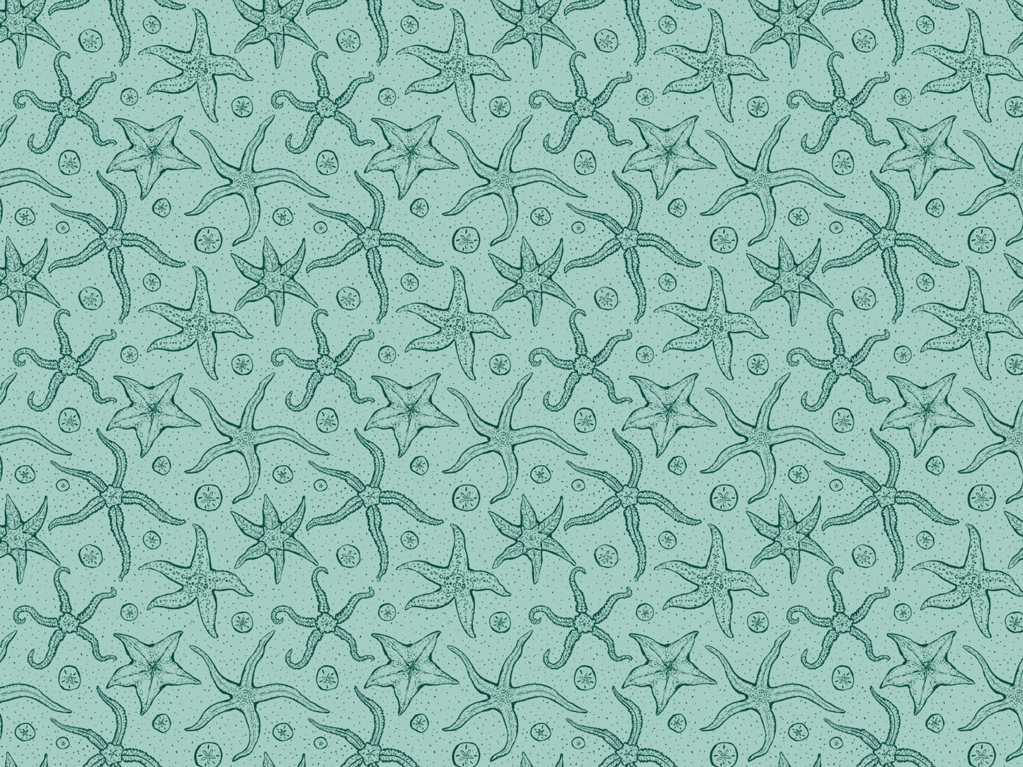 Light Blue Echinoderms Wallpaper